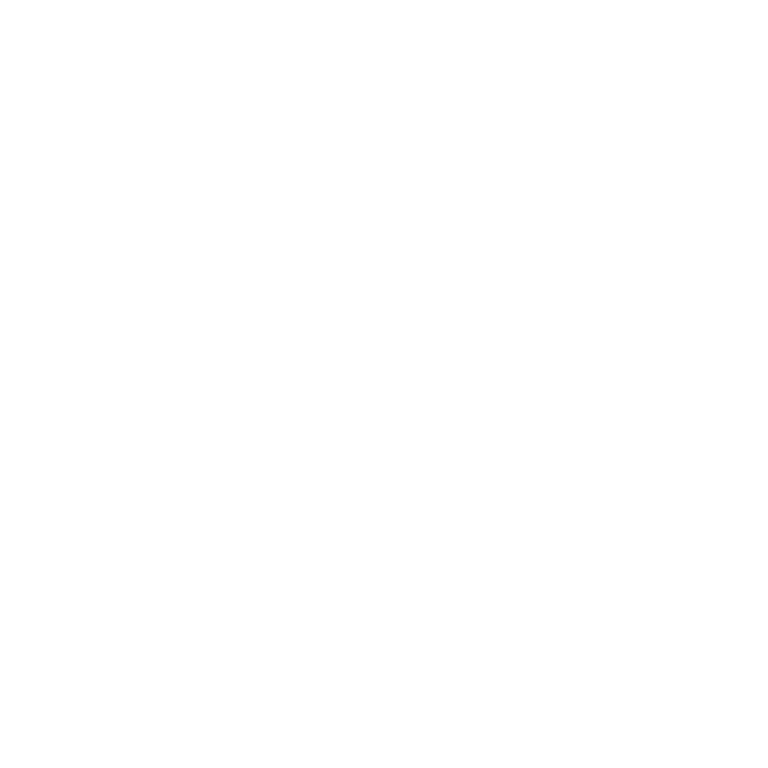 06---logo-castrol-ok